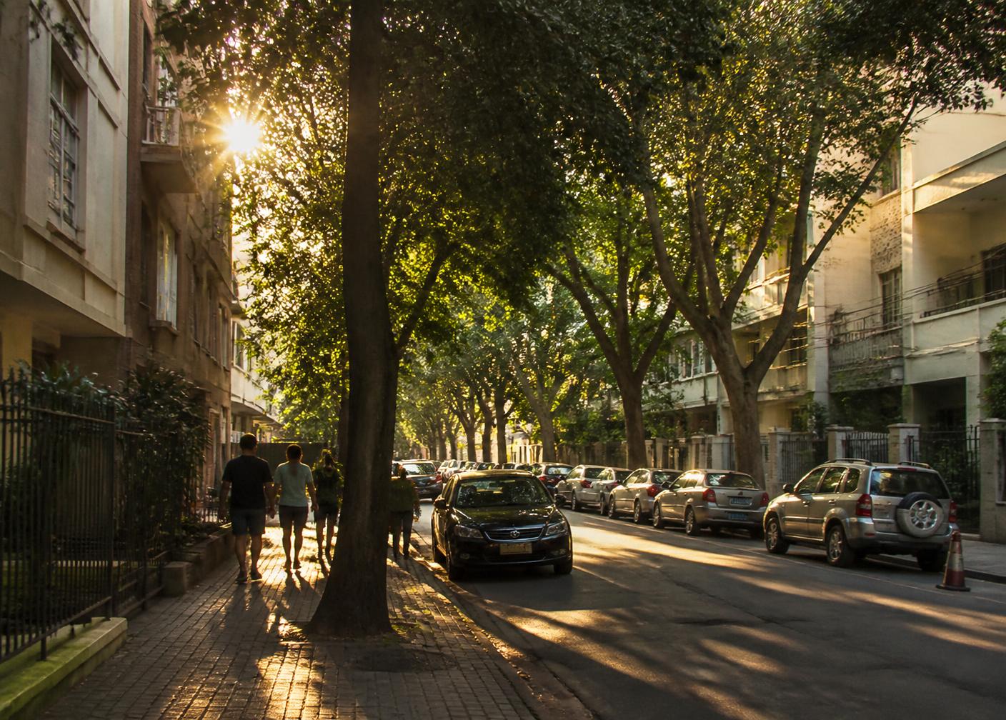 Rua arborizada em São Paulo no fim da tarde